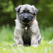 A89A0201
