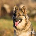 WG Photographies 2016-2