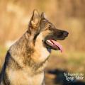 WG Photographies 2016-4