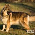 WG Photographies 2016-5
