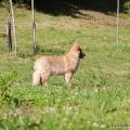 28062015-IMG_3576 - Copie
