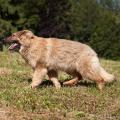 28062015-IMG_3593 - Copie