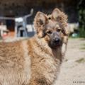 28062015-IMG_3601