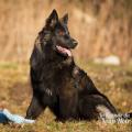 WG Photographies 2016-25