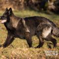 WG Photographies 2016-31