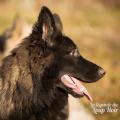 WG Photographies 2016-36