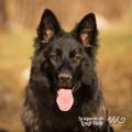 WG Photographies 2016-41
