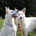 100_0721_edited