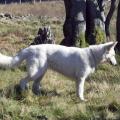 100_2437_edited