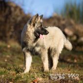 WG Photographies 2016-10