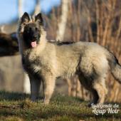WG Photographies 2016-12