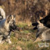 WG Photographies 2016-2