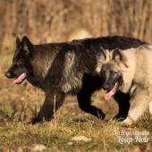 WG Photographies 2016-27