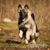 WG Photographies 2016-28