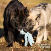 WG Photographies 2016-29