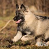 WG Photographies 2016-3