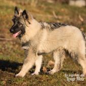 WG Photographies 2016-33