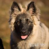 WG Photographies 2016-38
