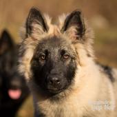 WG Photographies 2016-39