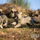 WG Photographies 2016-4
