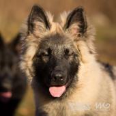 WG Photographies 2016-40