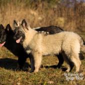 WG Photographies 2016-42
