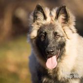 WG Photographies 2016-43