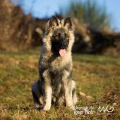 WG Photographies 2016-44