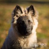 WG Photographies 2016-46