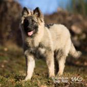 WG Photographies 2016-9