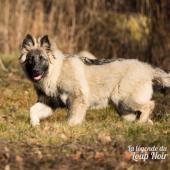 WG Photographies 2016