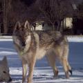 100_3555_edited