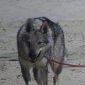 imgp0824_edited