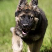 WG Photographies-10