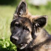 WG Photographies-12