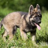 WG Photographies-16