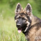 WG Photographies-17
