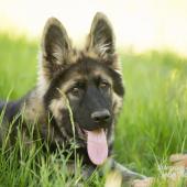 WG Photographies-18