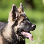 WG Photographies-20