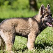 WG Photographies-21