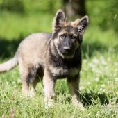 WG Photographies-3