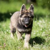 WG Photographies-4