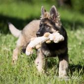 WG Photographies-5