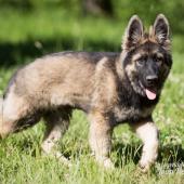 WG Photographies-6