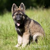 WG Photographies-7