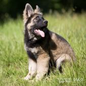 WG Photographies-8