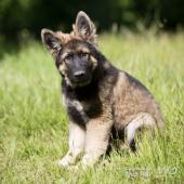 WG Photographies-9