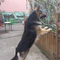 20140330_174554(1)