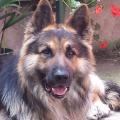 20140725_110223(1)