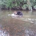 Photo0645(1)